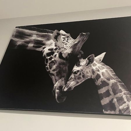 Apartamento Banferra Jerez de la Frontera Dış mekan fotoğraf