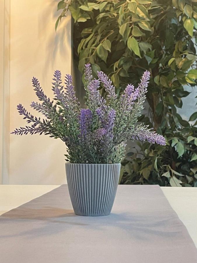Apartamento Banferra Jerez de la Frontera Dış mekan fotoğraf