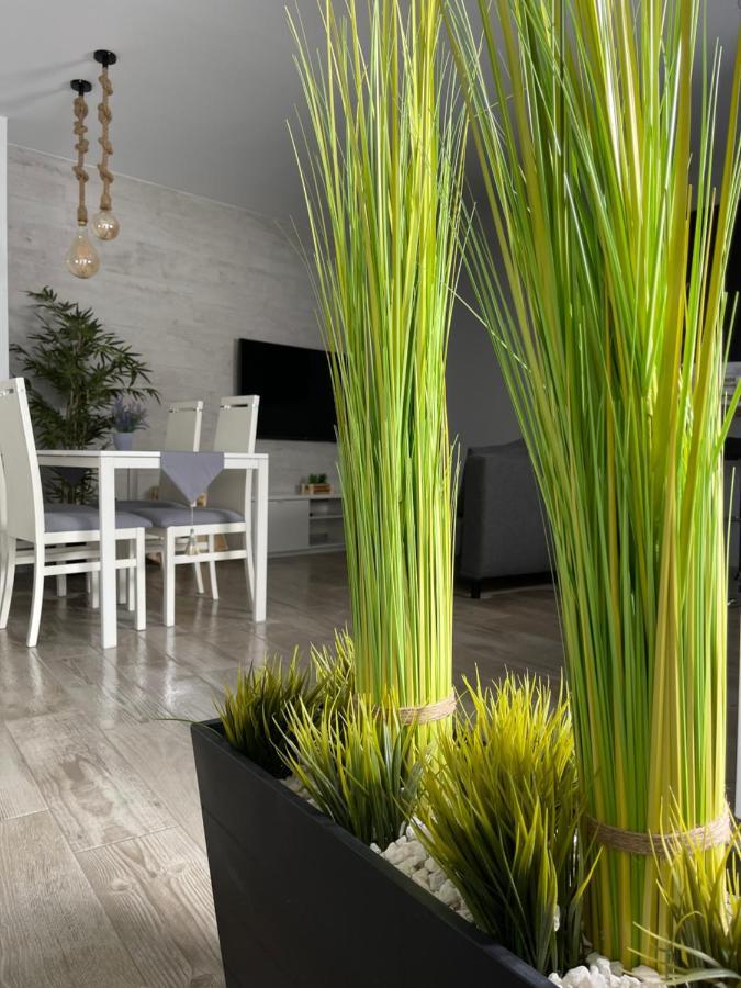 Apartamento Banferra Jerez de la Frontera Dış mekan fotoğraf